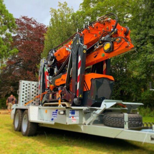 Jekko on the trailer